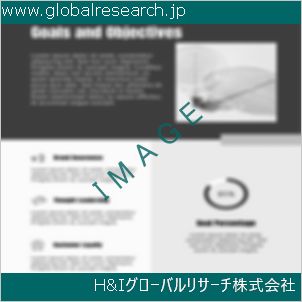 グローバルリサーチ調査資料のイメージ